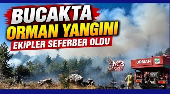 Bucak’ta Orman Yangını: Ekipler Seferber Oldu