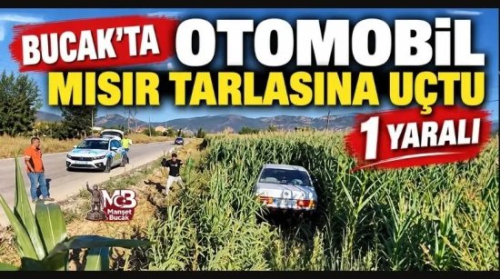 Bucak'ta Otomobil Mısır tarlasına uçtu: 1 yaralı
