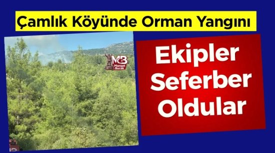 Çamlık Köyü’nde Ormanlık Alanda Yangın Çıktı
